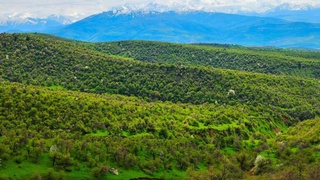 Дам олиш кунлари республиканинг катта қисмида ёғингарчилик кузатилмайди — Ўзгидромет