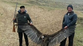 Жонсиз тасқарани ушлаб суратга тушганлар ҳозир чет элда