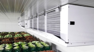 Нидерландская компания продолжит строить холодильные хранилища в Узбекистане