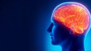 COVID-19 dan keyin xotira yo'qolishining sababi aniqlandi