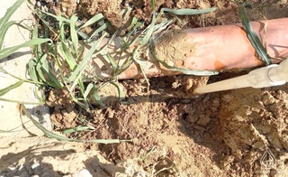 Yangiyoʻl tumanida ichimlik suviga noqonuniy ulangan firma rahbari 5-yilga ozodlikdan mahrum qilindi