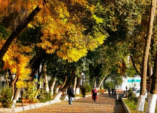 Пешгӯии обу ҳаво барои 16 ноябр