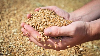 Самостоятельность и заинтересованность в результатах конечного труда