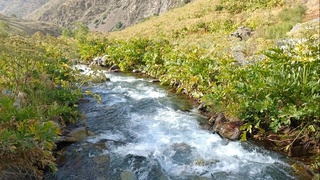 Демалыс күндері ауа райы көшпелі бұлтты болады