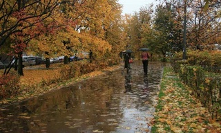 Бұл апта салыстырмалы түрде салқын және жауын-шашын мол болады деп күтілуде
