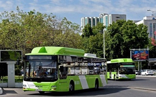 How will public transport work in Tashkent during the holidays?