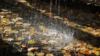 Bugun Toshkent, Sirdaryo, Jizzax viloyatida yomgʻir yogʻadi — Oʻzgidromet