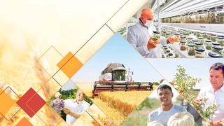 Большой рывок вперед локомотива экономики