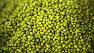 Узбекистан за четыре месяца экспортировал 25,6 тысячи тонн маша