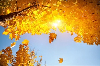 Демалыс күндері Өзбекстанда жылы ауа температурасы сақталады