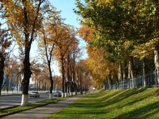 Октябрь ойининг илк кунларида Ўзбекистонга Қозоғистондан салқин ва нам ҳаво кириб келади