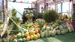 Xivada “Qovun sayli” festivali boshlandi