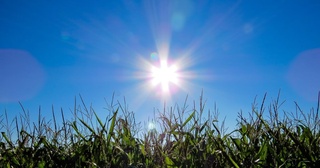 Бүгін ауа температурасы 47 градусқа көтеріледі