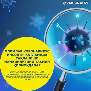 Olimlar koronavirus inson yogʻ qatlamida saqlanishi mumkinligini tahmin qilmoqdalar