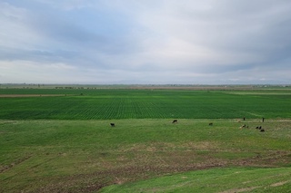 Соҳадаги айрим инвестиция лойиҳалари учун ерлар танловсиз ажратилади