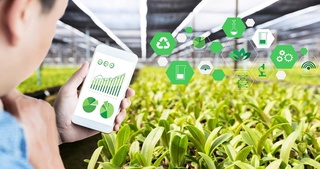 Агросанааттың толық шынжыры зүрәәт жоғалтыўын азайтып, қосымша қун көлемин арттырады