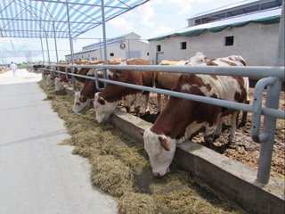 Фаол тадбиркор – элга мададкор