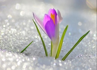 Келгуси ҳафта боши учун об-ҳаво башорати маълум қилинди