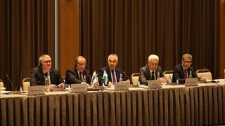 Представители ЦИК приняли участие в работе круглого стола при участии Верховного комиссара ОБСЕ по делам национальных меньшинств