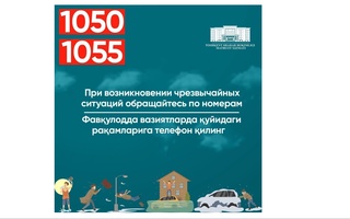 Тошкентда кучли шамол бўлиши ва ёмғир ёғиши кутилмоқда 