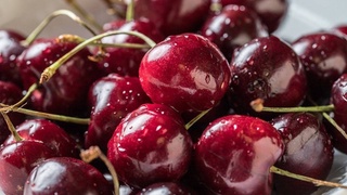 Дар Ӯзбекистон мавсими содироти гелос оғоз ёфт