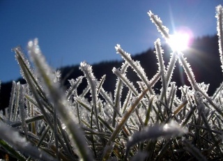 6-mart kungi ob-havo maʼlumoti eʼlon qilindi