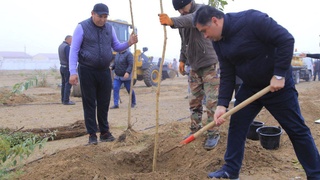 Zarafshonda «Yoshlar bog‘i» yaratildi