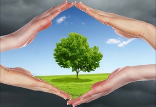 Атмосферный воздух как объект охраны природы