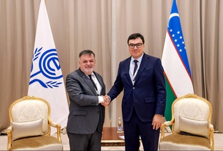 ОЭС готова поддержать Узбекистан в борьбе с песчано-пыльными бурями