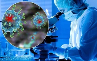«Потенциально самый опасный» штамм коронавируса обнаружили в ЮАР