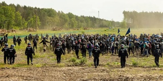 Tesla zavodi tufayli Berlin yaqinida 500 000 daraxt kesildi