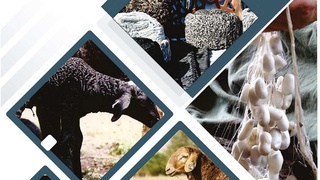 Интеграция сельского хозяйства с наукой: большие возможности для повышения доходов