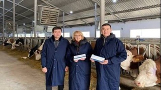 В Мининноваций Узбекистана рассказали детали о иммунном молоке против коронавируса