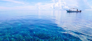 ЮНЕСКО океанлар дунёсини кенгроқ ўрганмоқчи