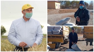 Янгибозорлик фермер 40 тонна шолини хайрия қилди