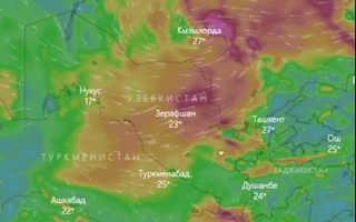Узгидромет: 8-11 апреля ожидается усиление ветра, возможны пыльные бури