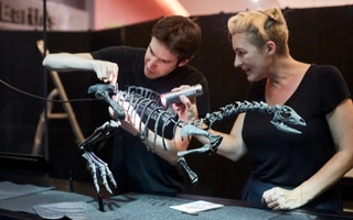 A new species of dinosaur has been discovered in the USA