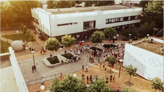 Узбекистан изучает перспективы активизации сотрудничества с украинскими IT-компаниями