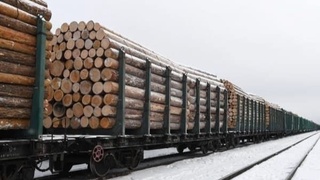 Ўзбекистон 50 та хорижий мамлакатлардан ёғоч ва ёғоч маҳсулотларини импорт қилган