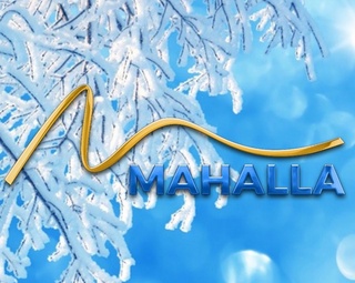 Mahalla телерадиоканали МЧЖга айлантирилади