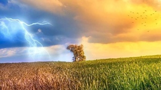 Землю начинает накрывать Эль-Ниньо - ученые советуют готовиться к аномальной жаре и засухе