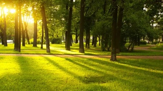 Bu kunlarda kuchli issiq boʻlishi kutilmaydi — Oʻzgidromet