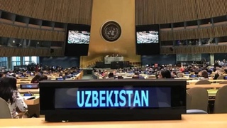 В Женеве обсуждена резолюция Генеральной Ассамблеи ООН «Центральная Азия перед лицом экологических вызовов», принятая по инициативе Узбекистана