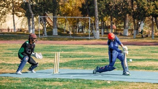 Завораживающая магия крикета