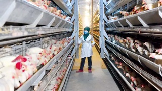 Букинский район: позитивные изменения во всех сферах