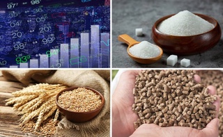 На Узбекской республиканской товарно-сырьевой бирже снизились цены на сахар, пшеницу и комбикорм