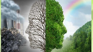 Кто заплатит за загрязнение природы?