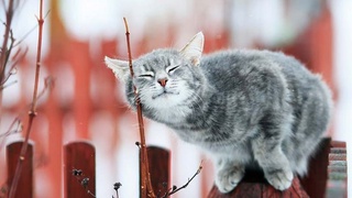 Прогноз погоды на выходные 26-28 февраля