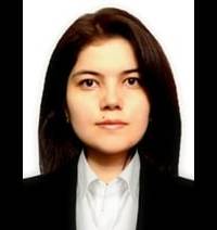 Комментарий к авторской статье Президента Республики Узбекистан