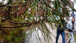 Forecasters told about the weather in Uzbekistan for the new working week